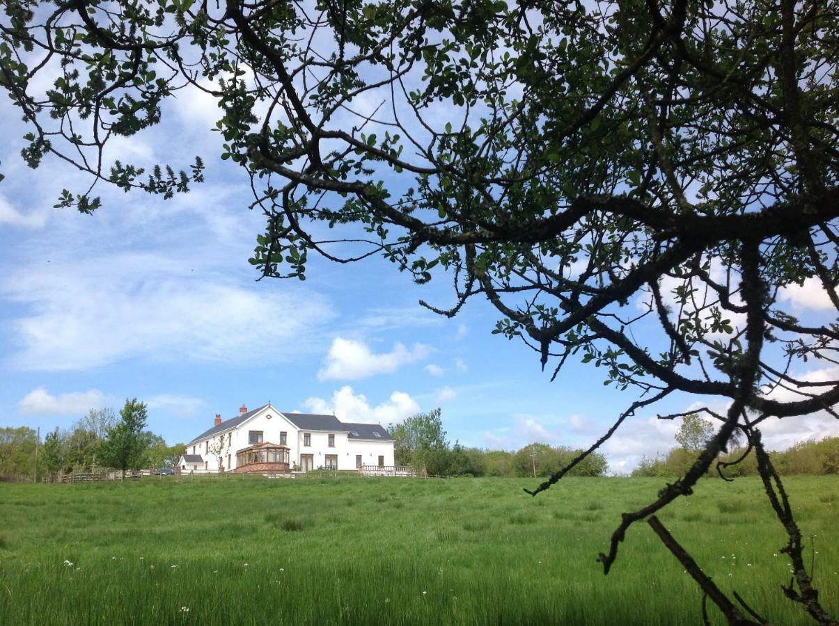 Penddaulwyn Uchaf Farm # Carmarthenshire Leilighet Nantgaredig Eksteriør bilde