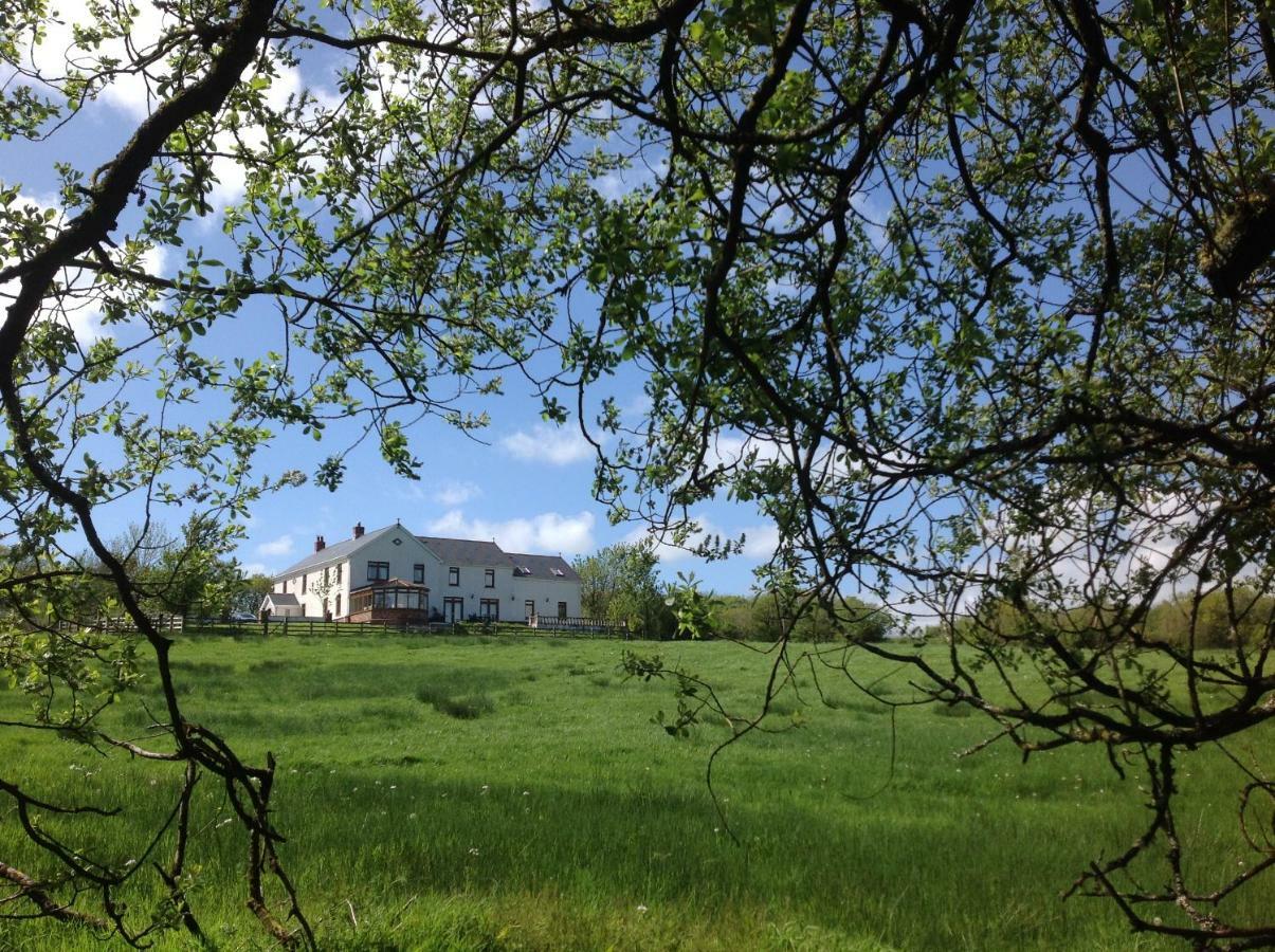 Penddaulwyn Uchaf Farm # Carmarthenshire Leilighet Nantgaredig Eksteriør bilde