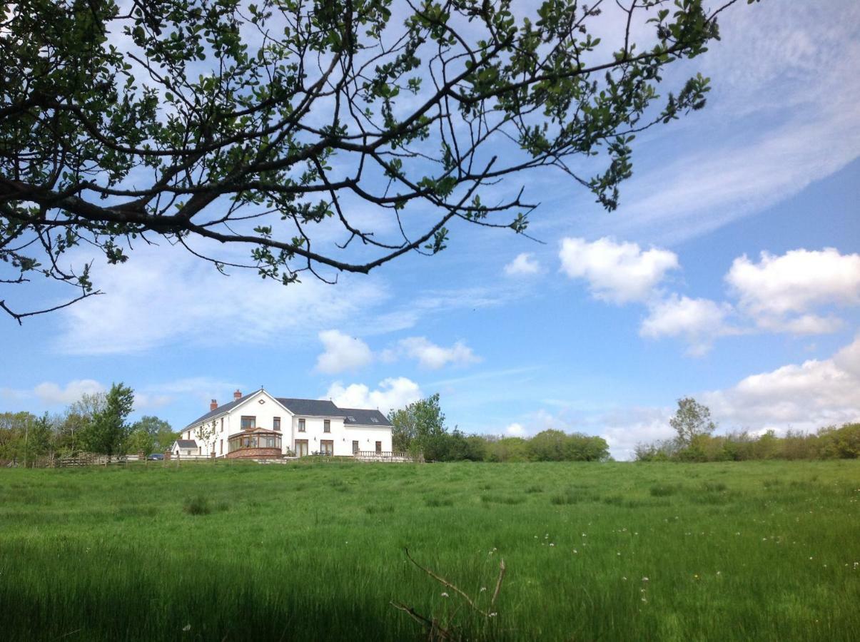 Penddaulwyn Uchaf Farm # Carmarthenshire Leilighet Nantgaredig Eksteriør bilde