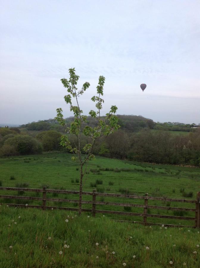 Penddaulwyn Uchaf Farm # Carmarthenshire Leilighet Nantgaredig Eksteriør bilde