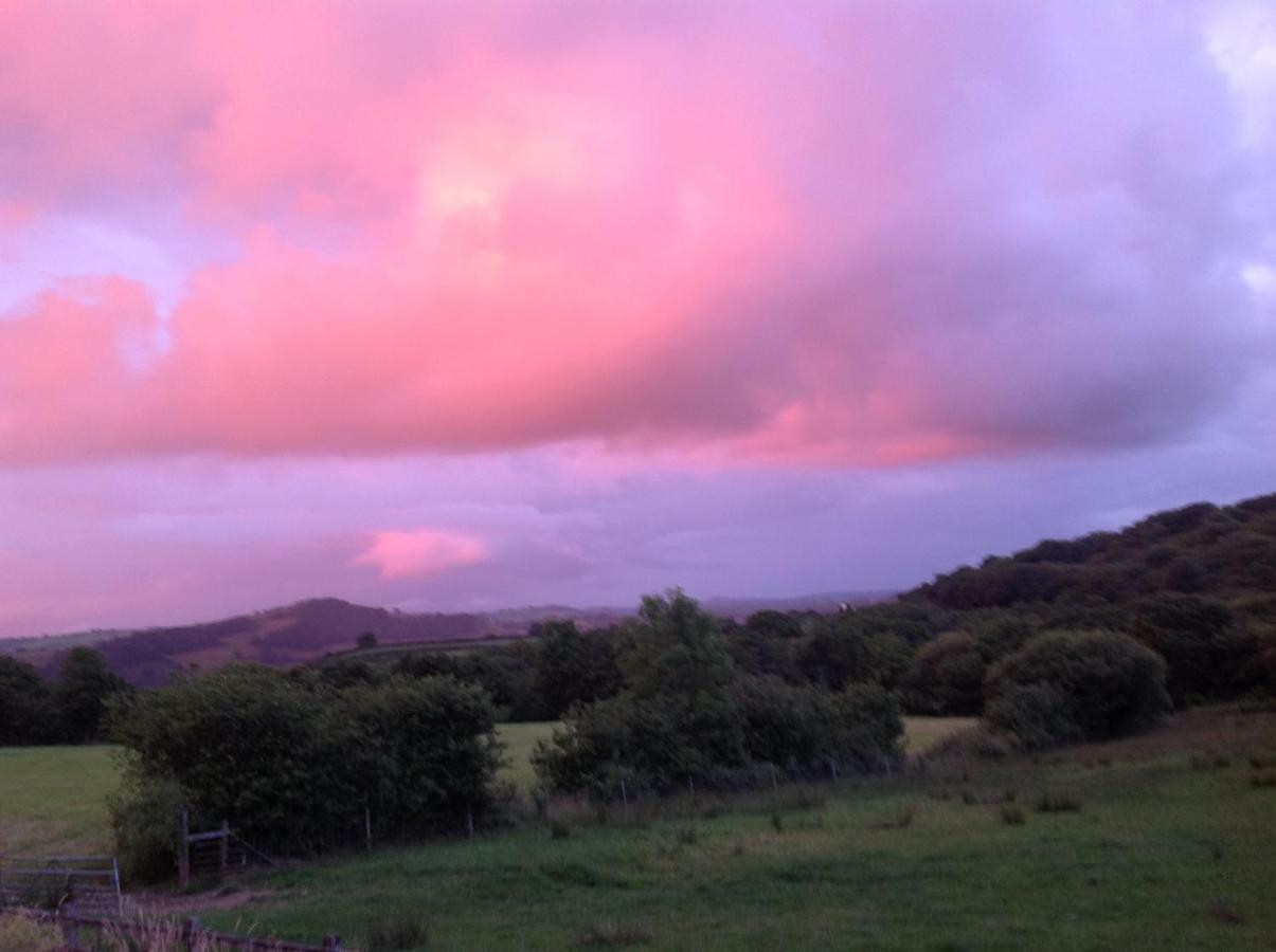 Penddaulwyn Uchaf Farm # Carmarthenshire Leilighet Nantgaredig Eksteriør bilde