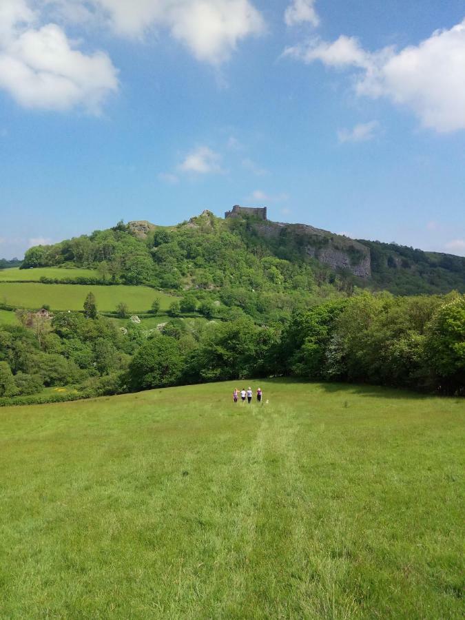 Penddaulwyn Uchaf Farm # Carmarthenshire Leilighet Nantgaredig Eksteriør bilde